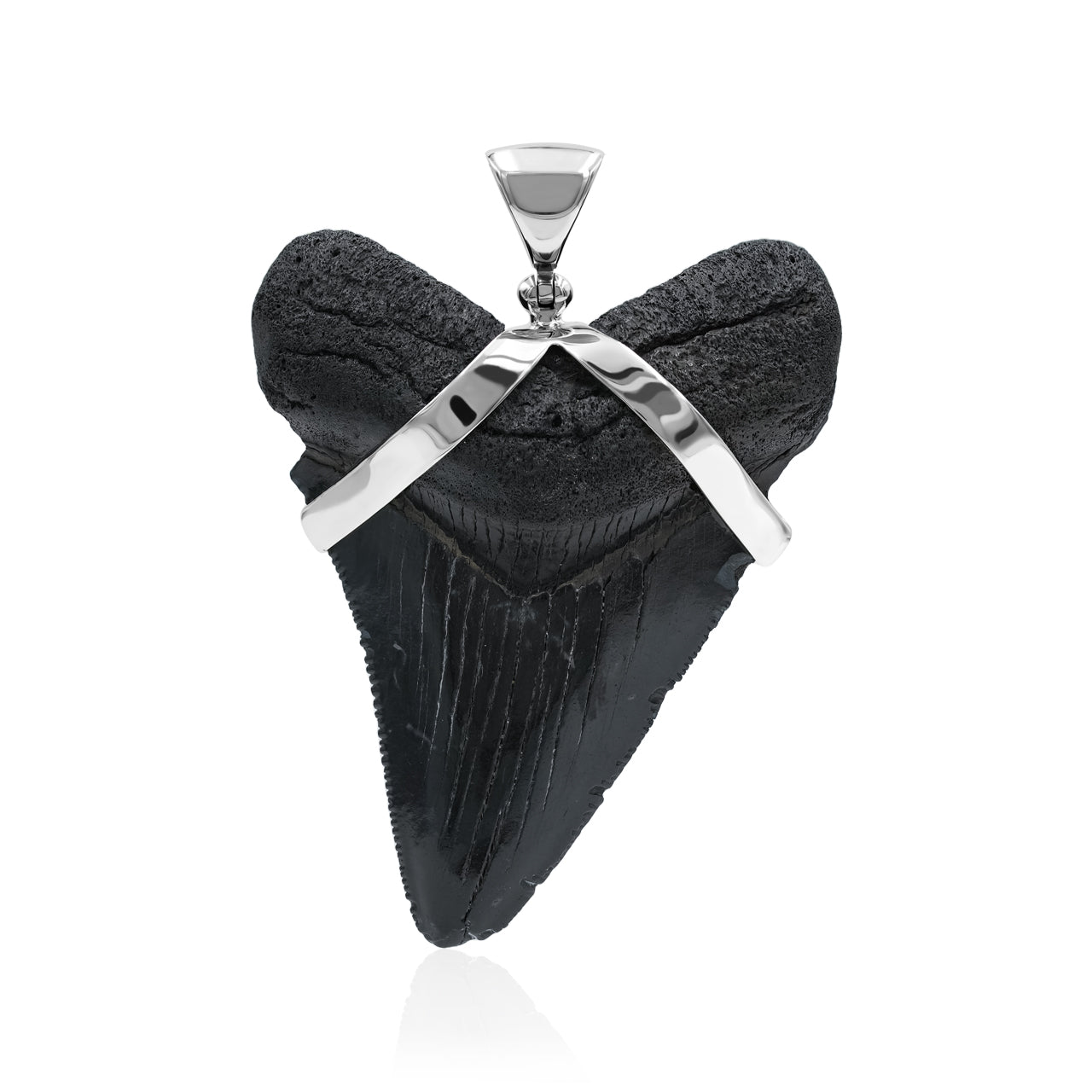 Starborn Dark Fossil Shark Tooth Pendant in Sterling Silver