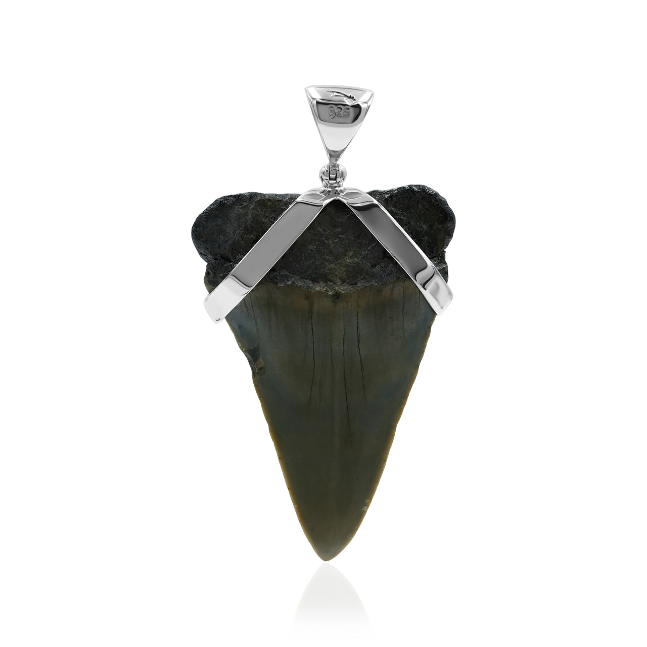 Starborn Dark Fossil Shark Tooth Pendant in Sterling Silver