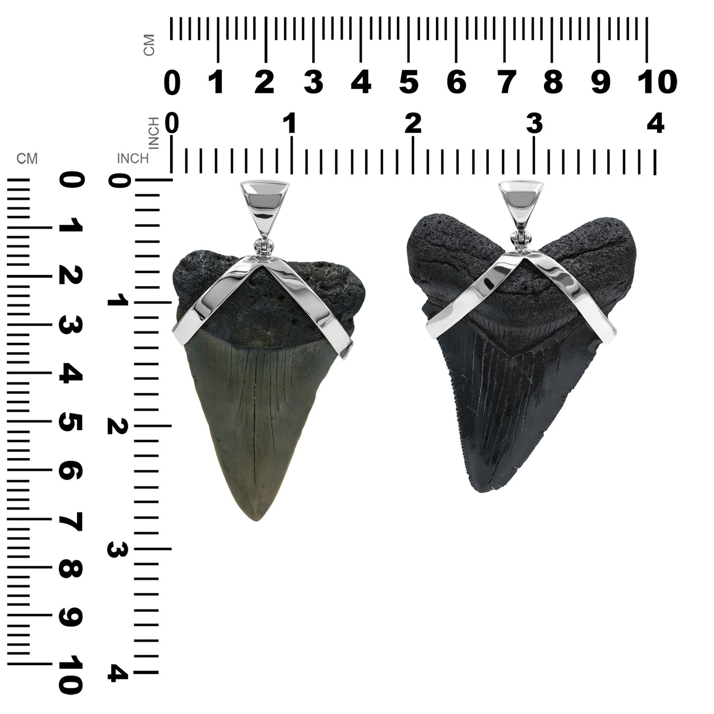 Starborn Dark Fossil Shark Tooth Pendant in Sterling Silver