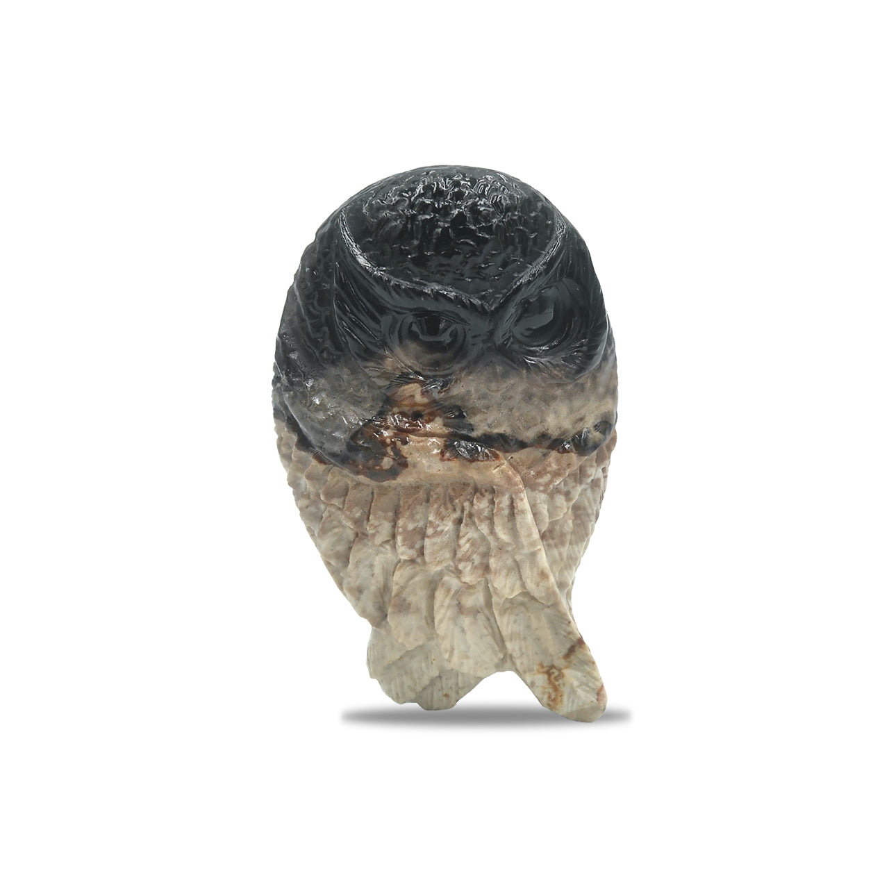 Starborn Hand Carved Fossil Wood Owl Carving