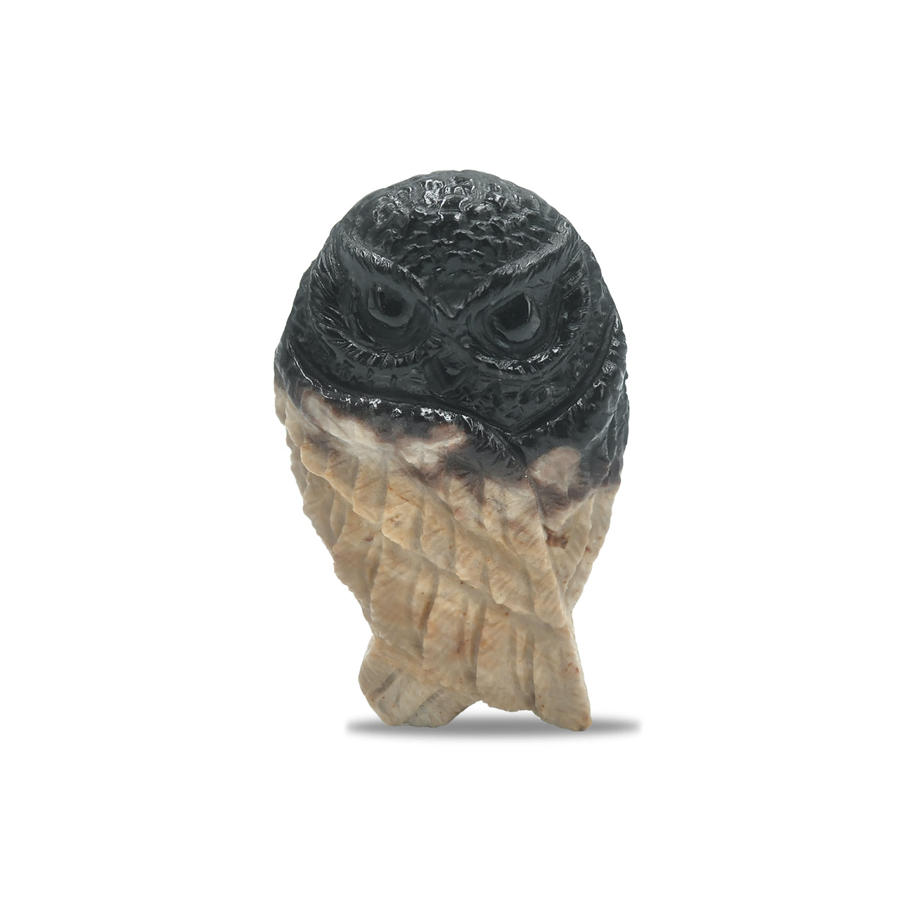 Starborn Hand Carved Fossil Wood Owl Carving