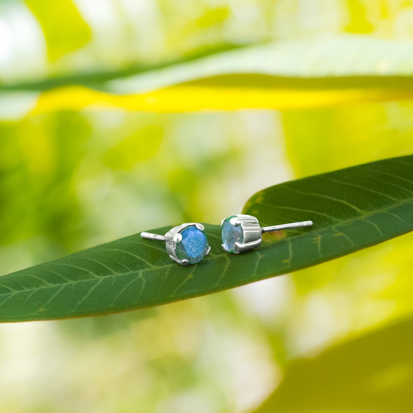 Starborn Faceted Labradorite 6mm Post Earrings in Sterling Silver