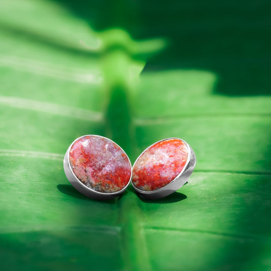 Starborn Magma Chalcedony Round Post Earrings in Sterling Silver