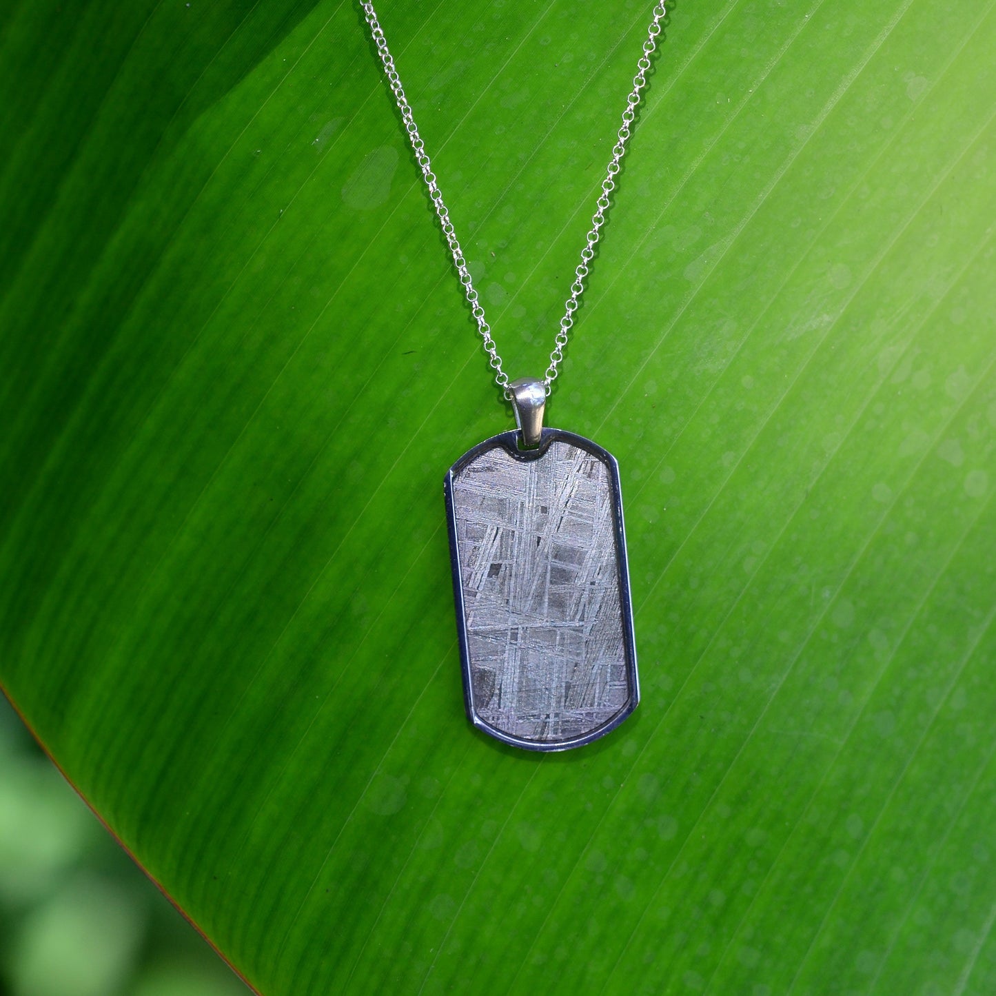 Starborn Aletai Meteorite Pendant with Stainless Steel Chain