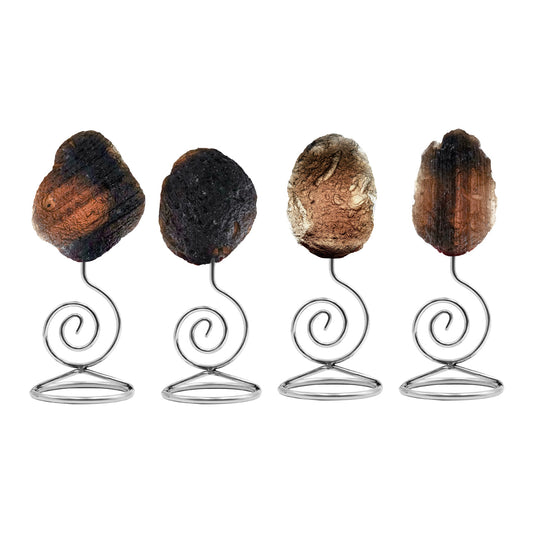 Starborn Agni Manitite on Spiral Stand