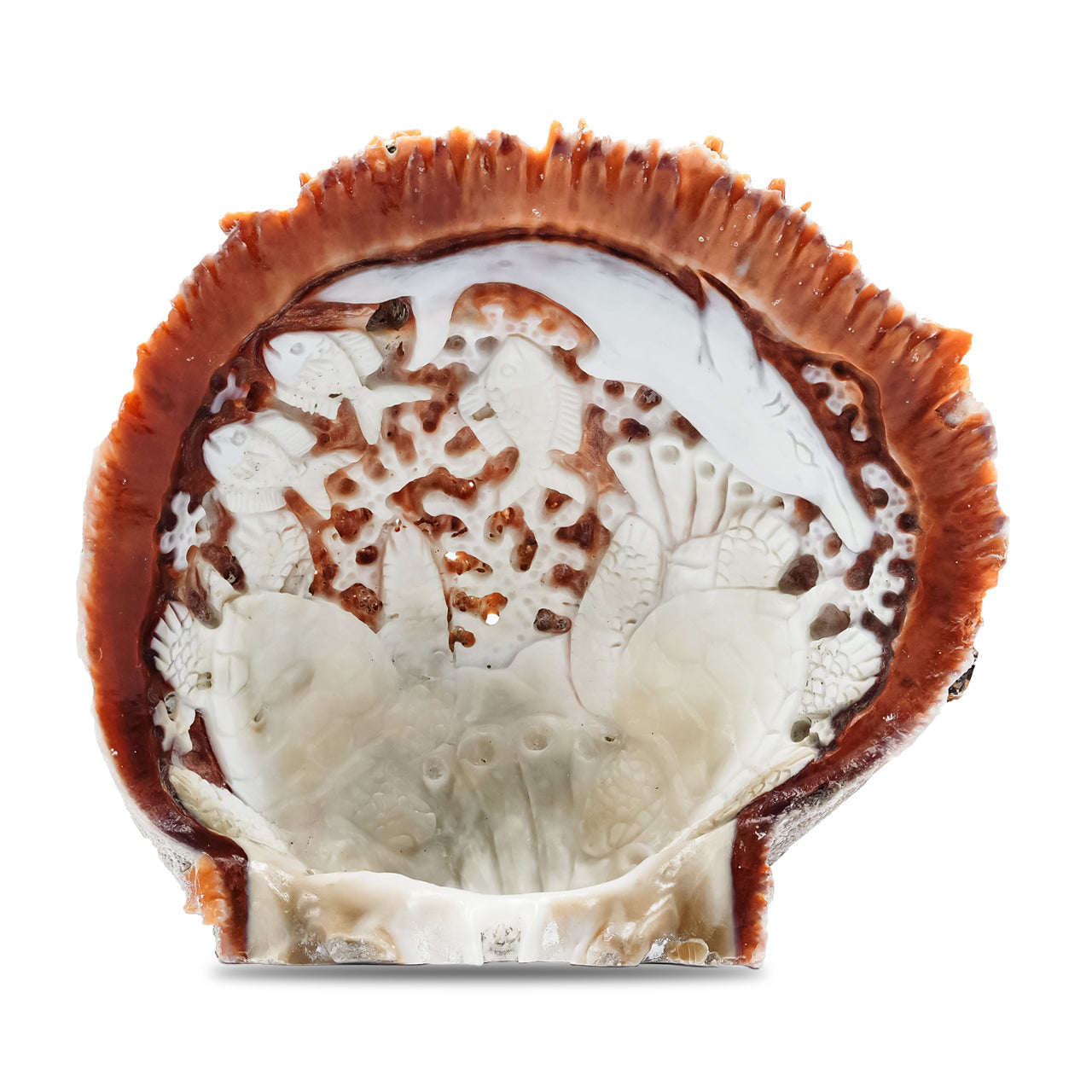 Starborn Hand Carved Spiney Oyster Shell Marine Life - 1 Piece