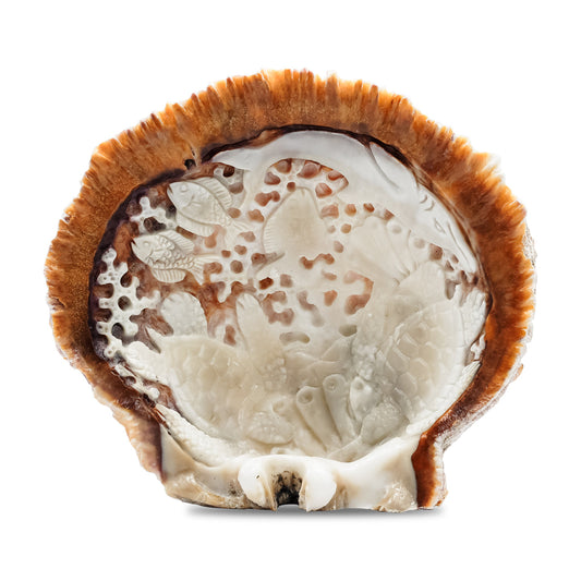 Starborn Hand Carved Spiney Oyster Shell Marine Life - 1 Piece