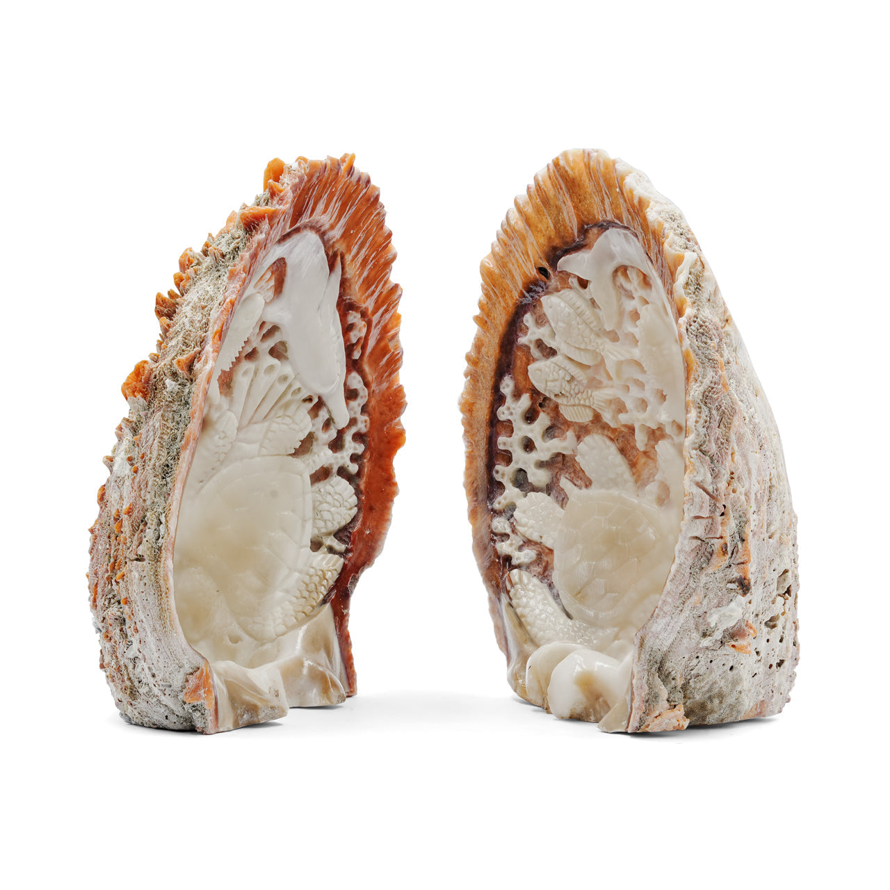 Starborn Hand Carved Spiney Oyster Shell Marine Life - 1 Piece