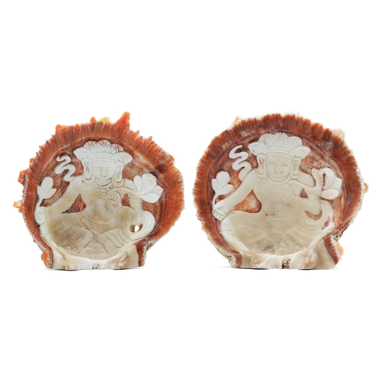 Starborn Hand Carved Spiney Oyster Shell Tara Goddess - 1 Piece
