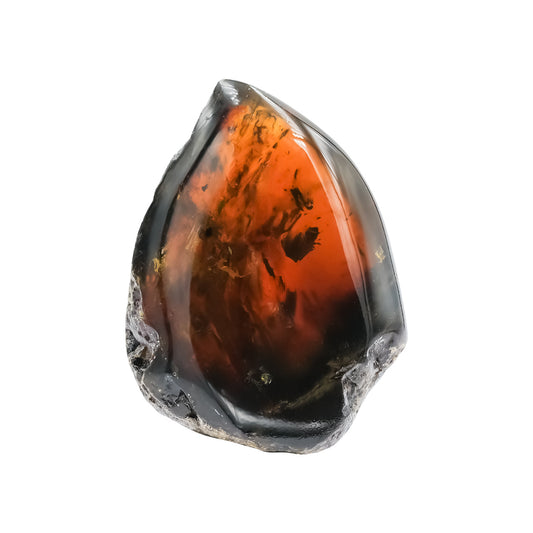 Starborn Polished Lion's Mane Sumatra Amber Collector (10-15 grams) - 1 Piece