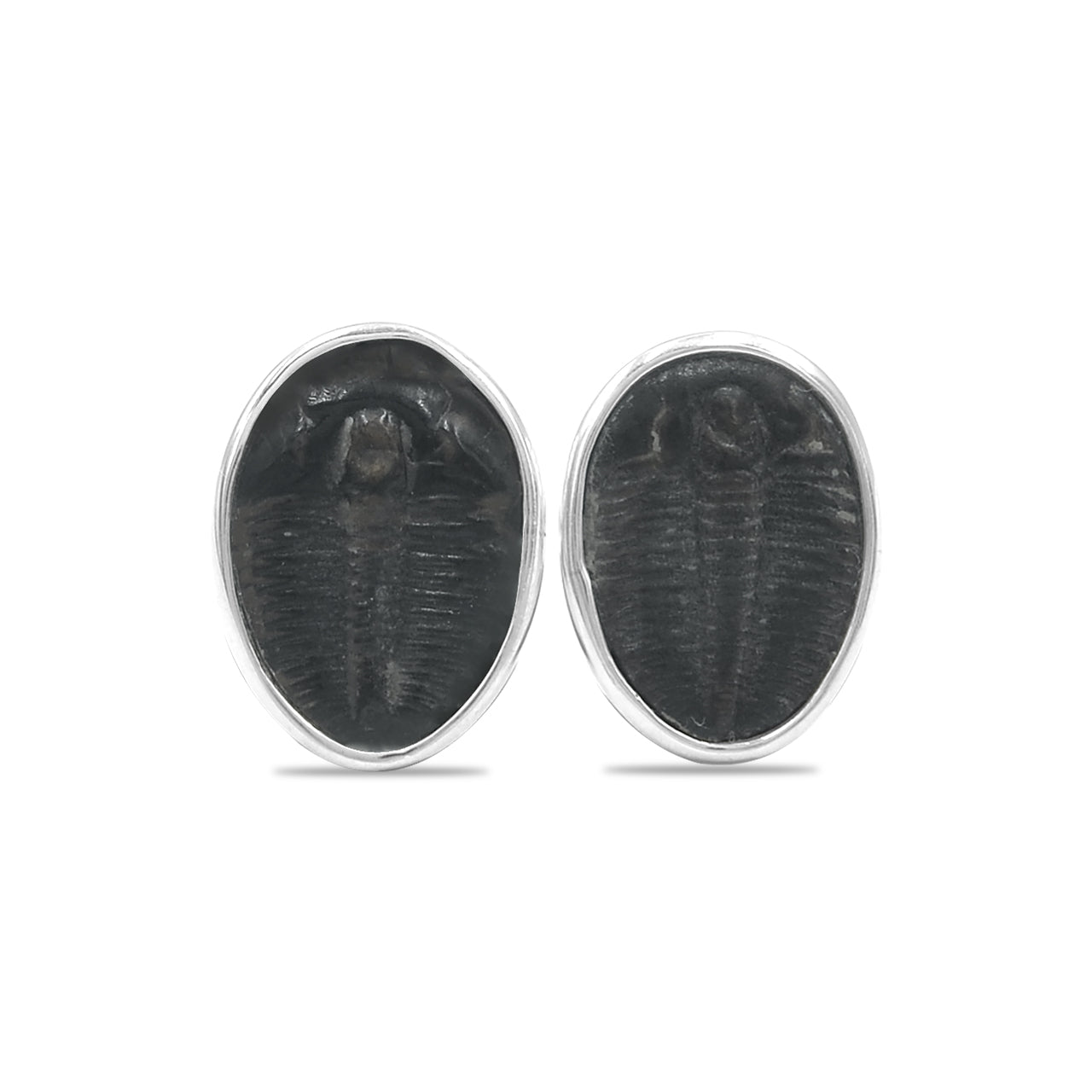 Starborn Fossil Trilobite Post Earrings in Sterling Silver
