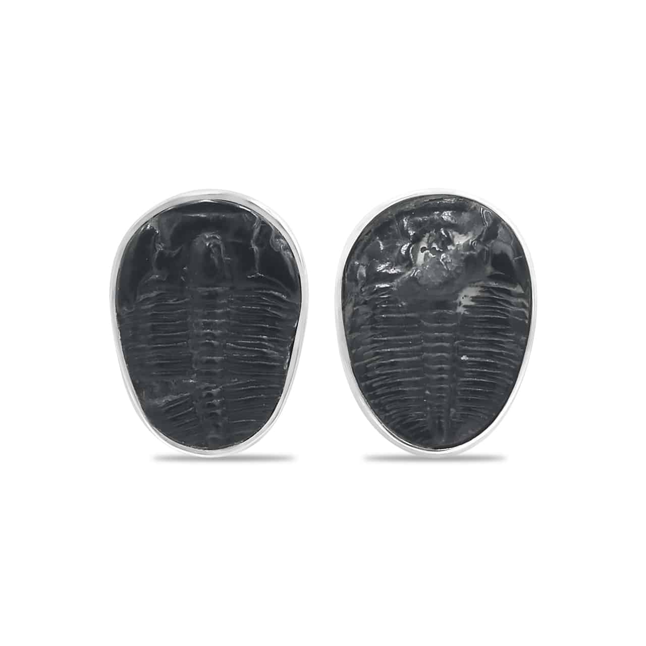 Starborn Fossil Trilobite Post Earrings in Sterling Silver