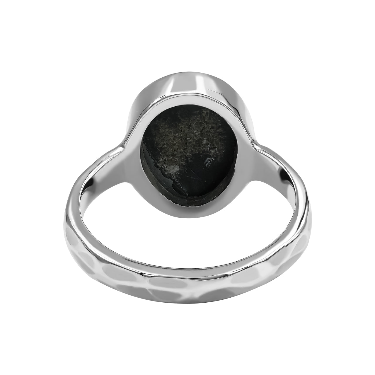 Starborn Fossilized Trilobite Ring (14–16 mm) in Sterling Silver