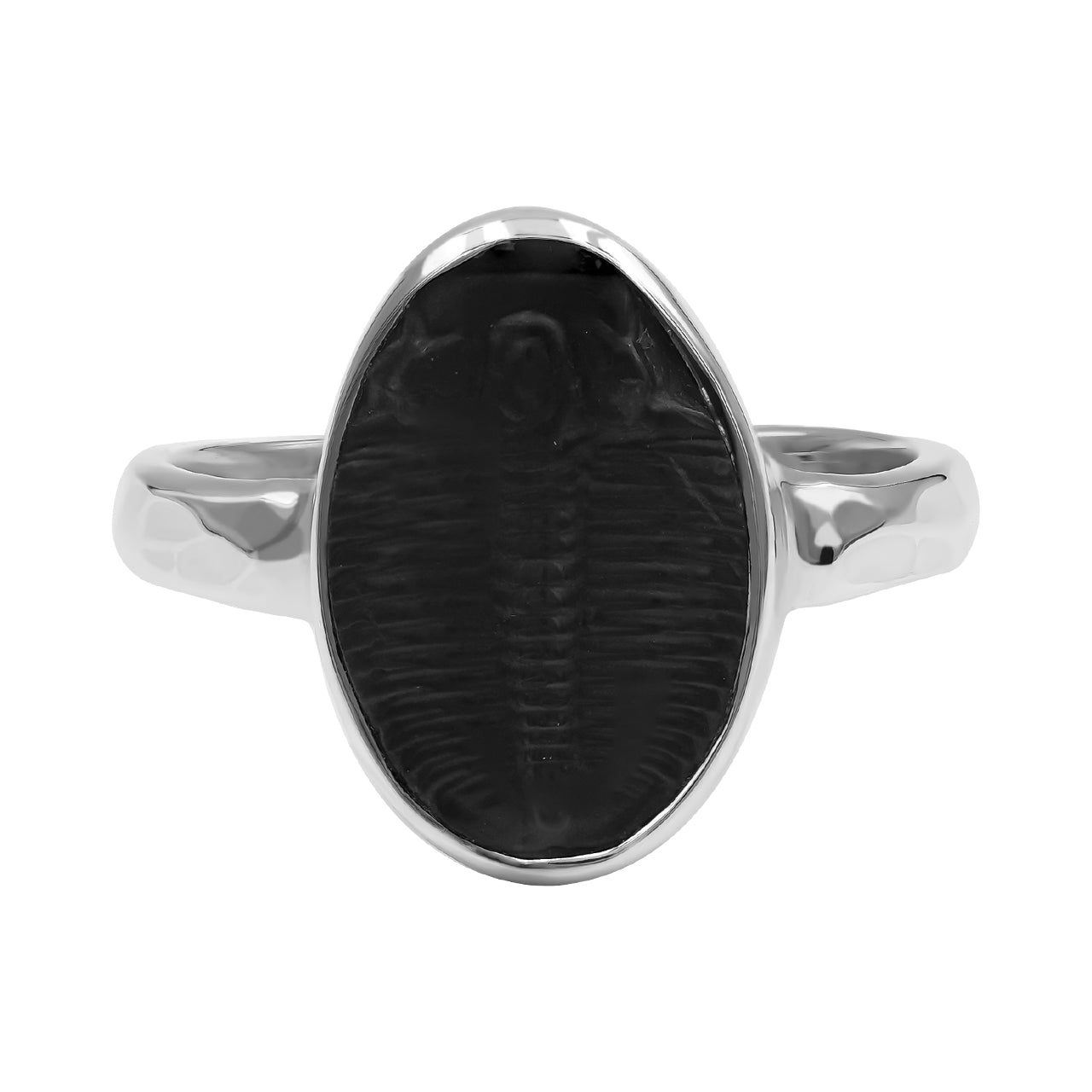 Starborn Fossilized Trilobite Ring (17–19 mm) in Sterling Silver