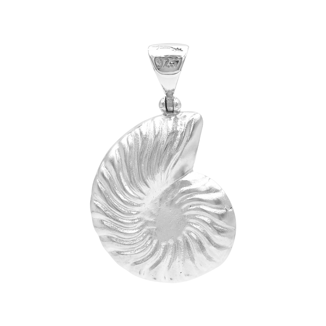 Starborn Sleeping Beauty Turquoise Inlay Nautilus Ammonite Pendant in Sterling Silver