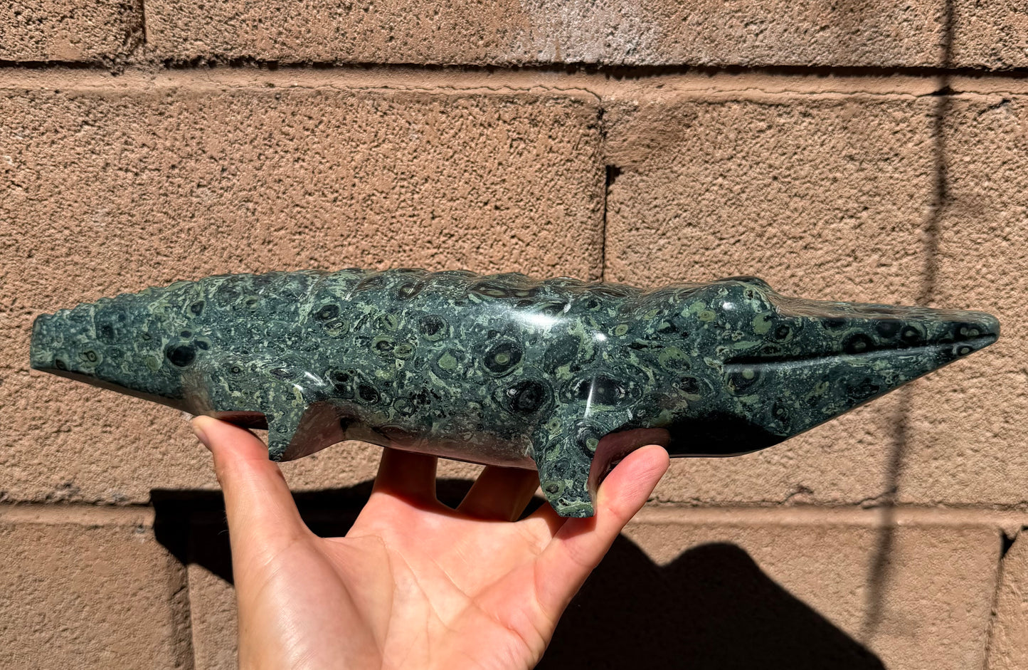 Kambaba Jasper Crocodile