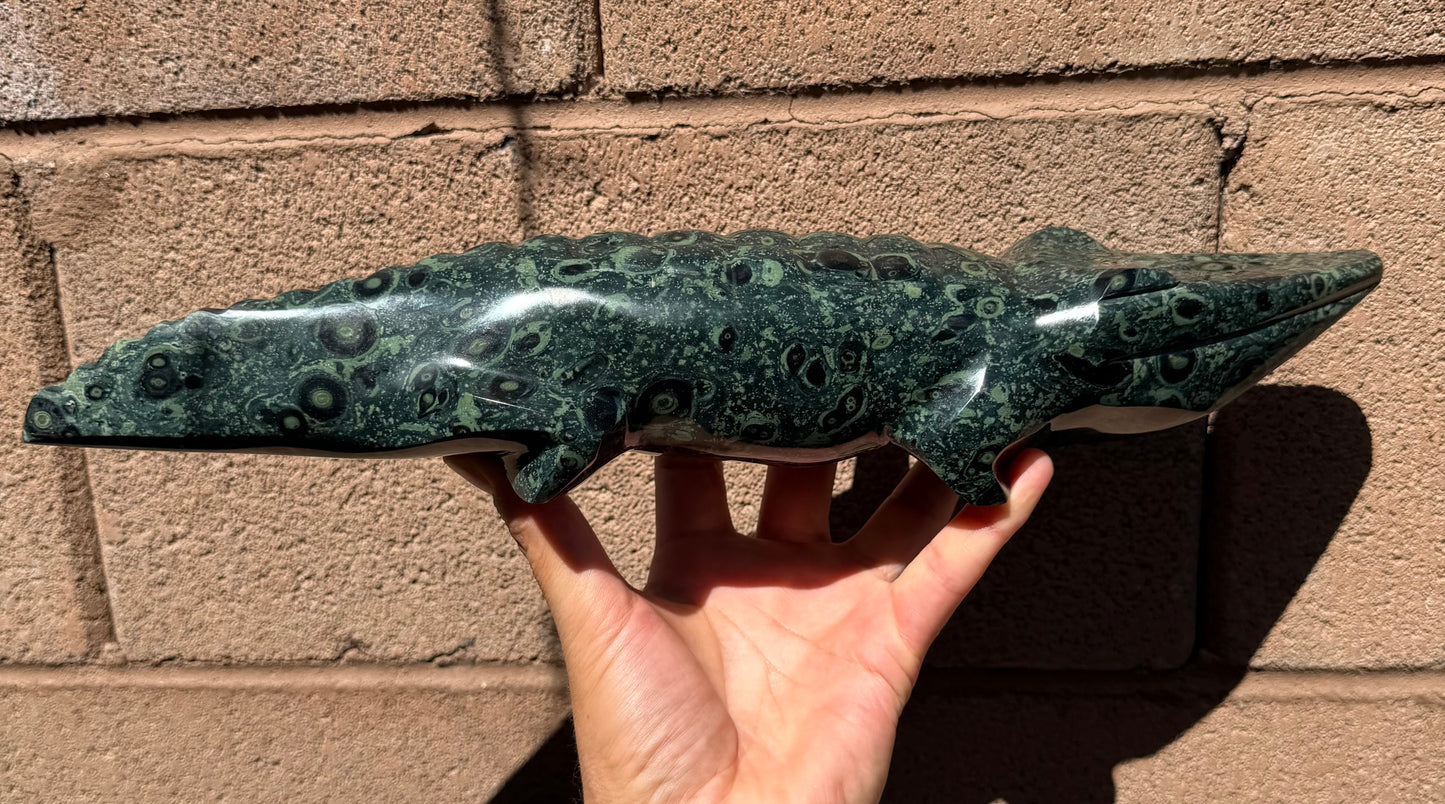 Kambaba Jasper Crocodile