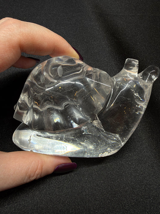 Snail Ghost