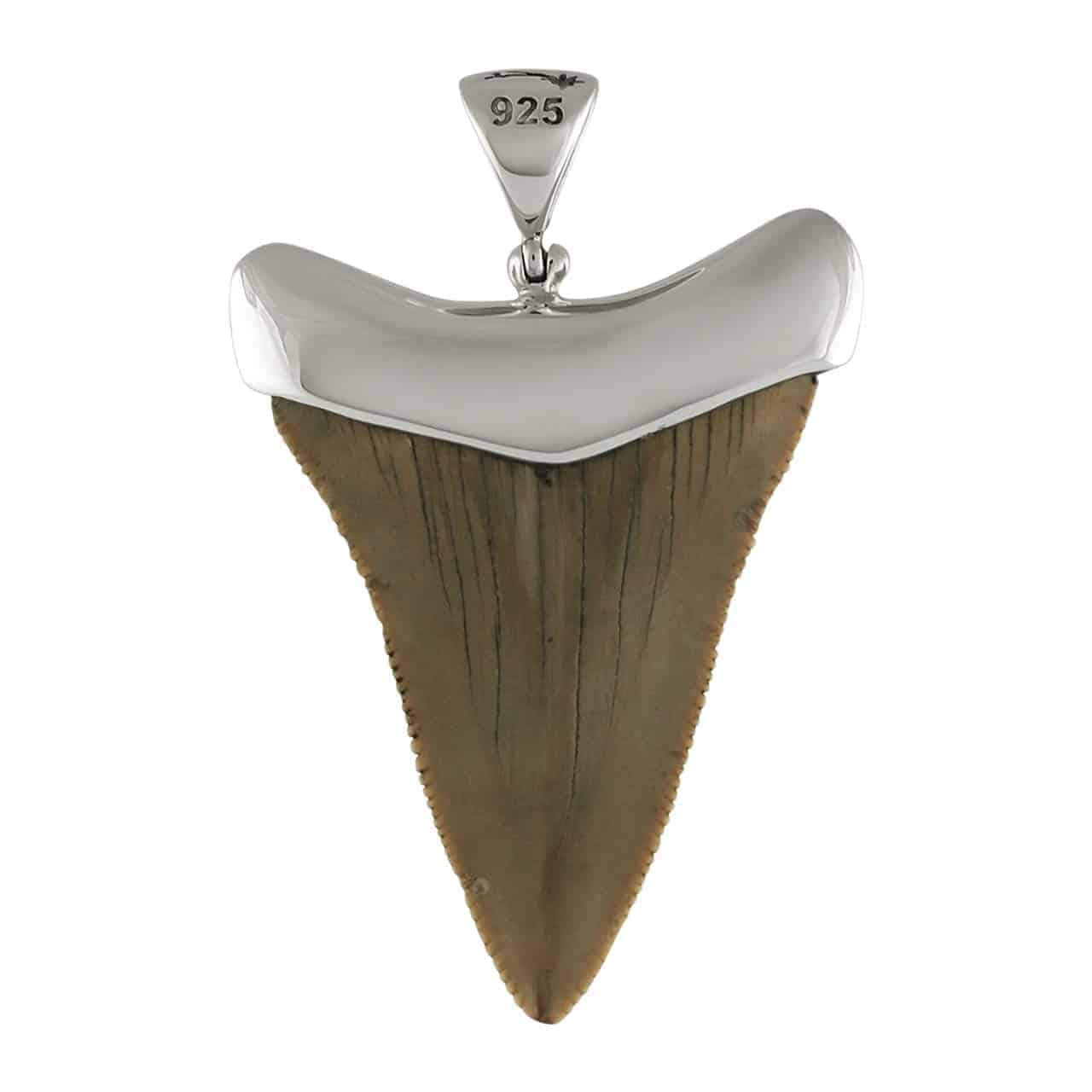 Starborn Fossilized Shark Tooth Cap Set Pendant in Sterling Silver