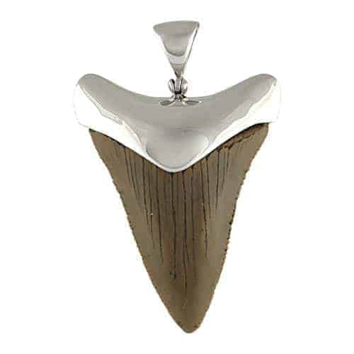 Starborn Fossilized Shark Tooth Cap Set Pendant in Sterling Silver