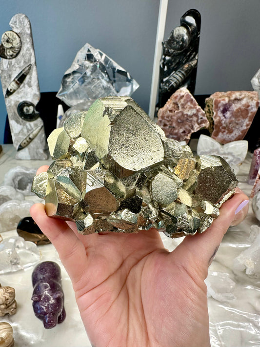 Exceptional Collector Pyrite