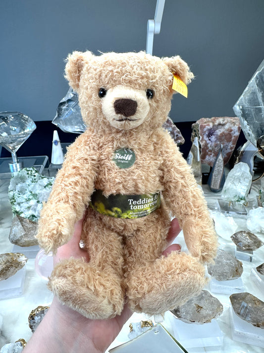 Max Teddy