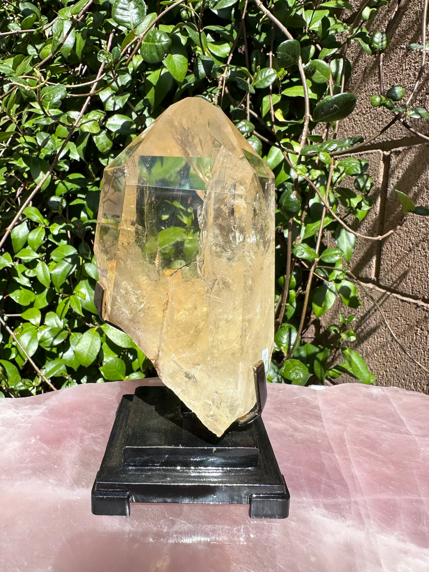 Venturini Natural Citrine