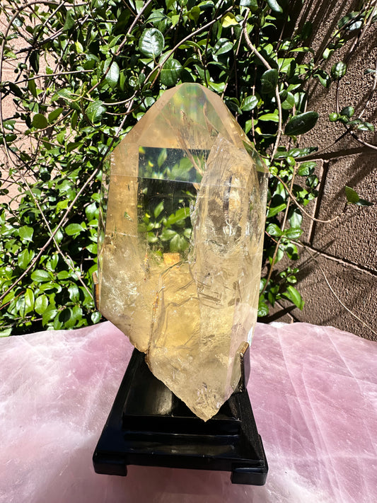 Venturini Natural Citrine