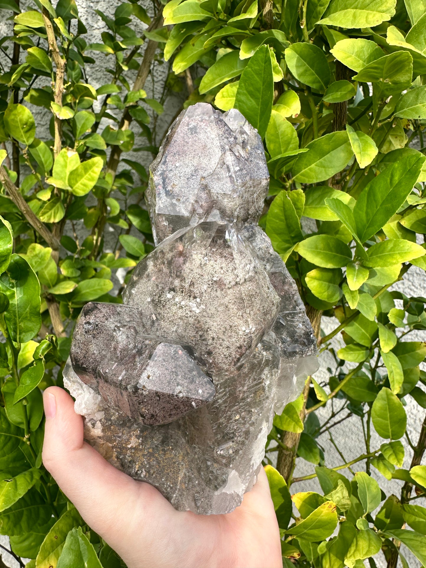 Incredible Lodolite