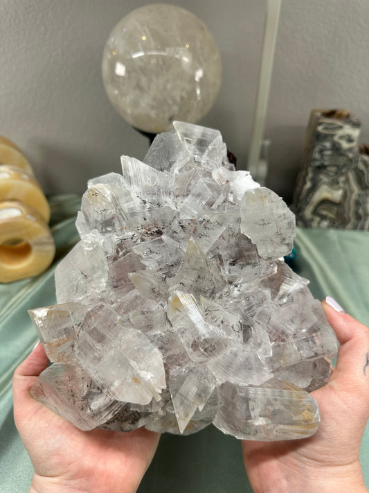 Naica Selenite with Dendrites & Iron Dusting | 7+ Pounds | Cave of the Crystals, Chihuahua Mexico
