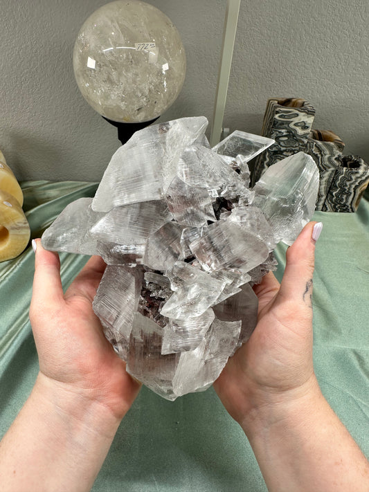 Naica Selenite Shield Formation | Cave of the Crystals, Chihuahua Mexico