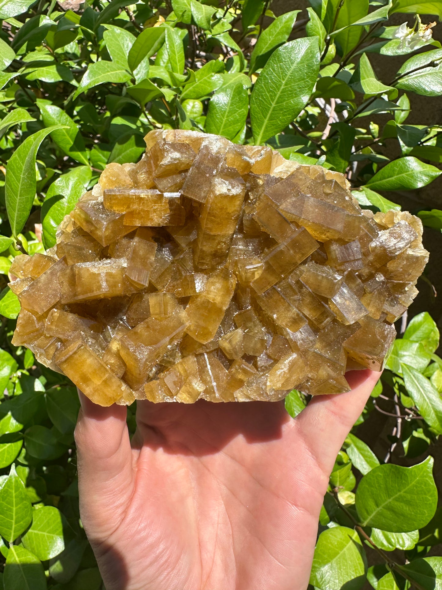 Golden Yellow Barite | China