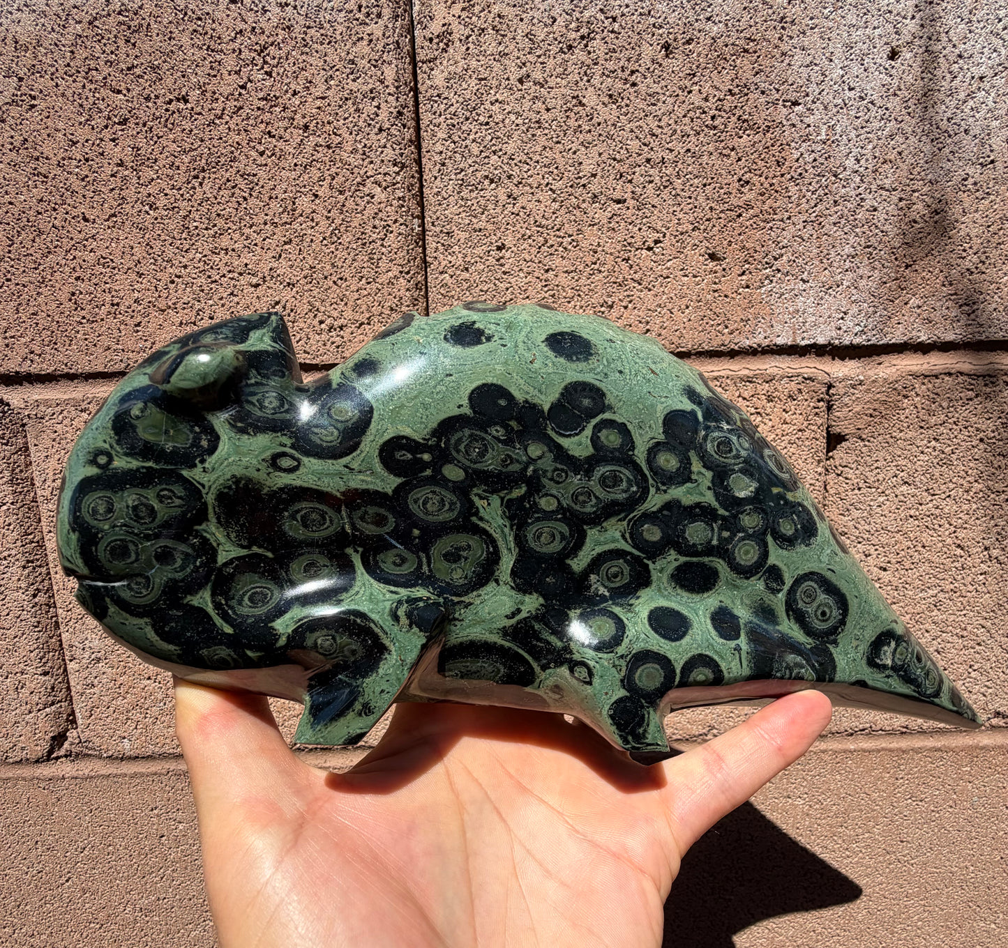 Kambaba Jasper Chameleon