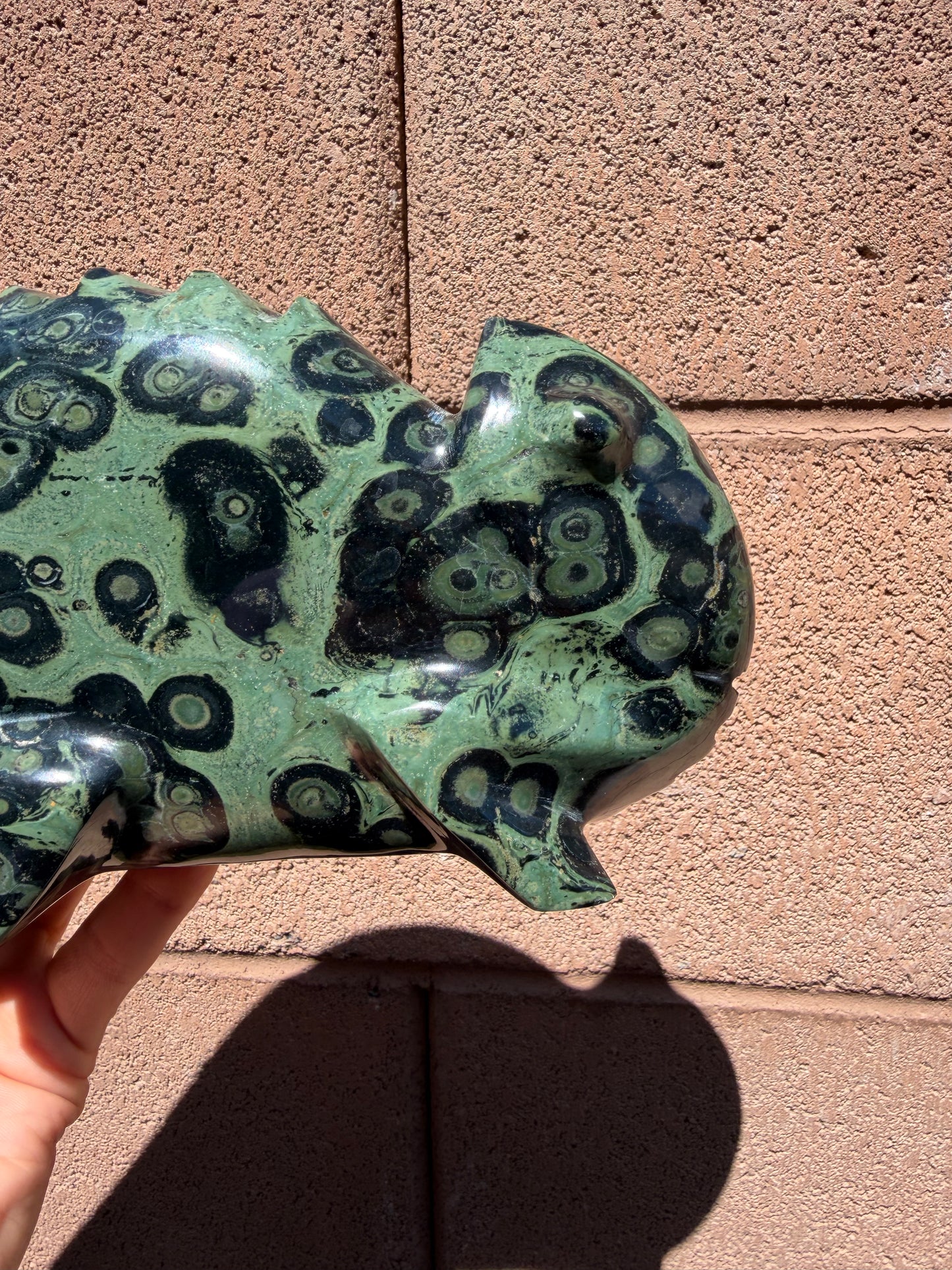 Kambaba Jasper Chameleon