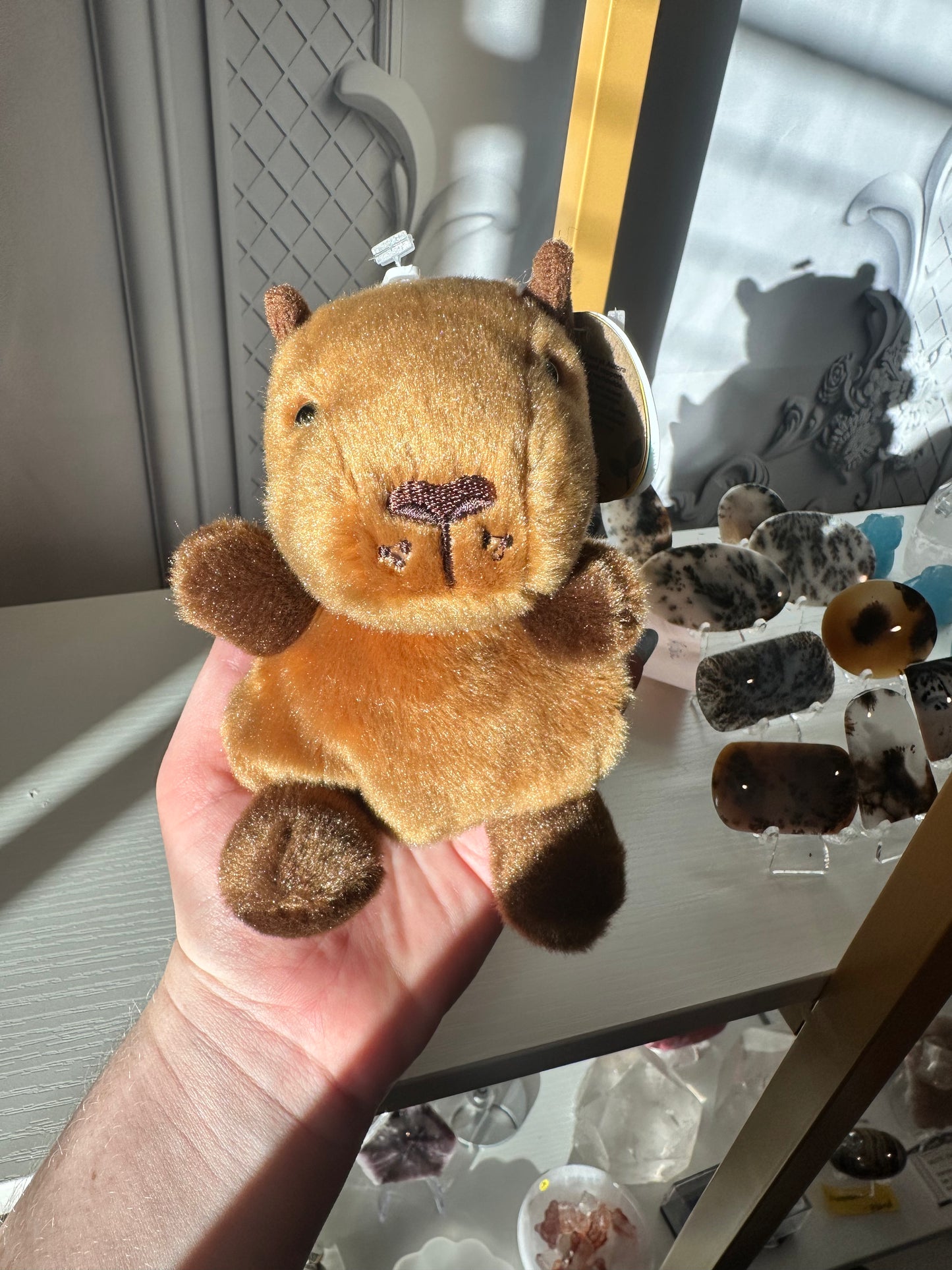 5” Sid Capybara Palm Pal