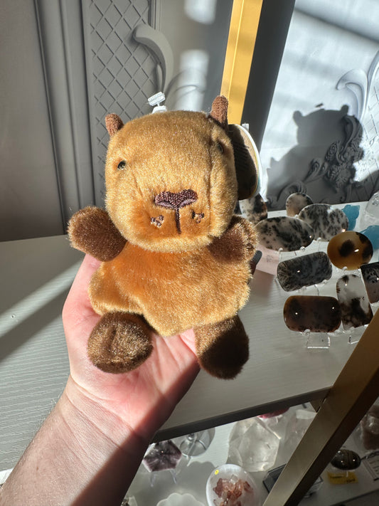 5” Sid Capybara Palm Pal
