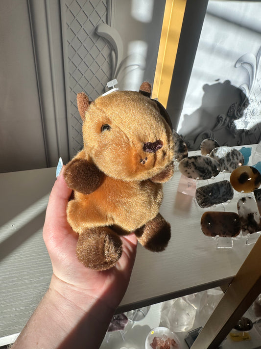 5” Sid Capybara Palm Pal