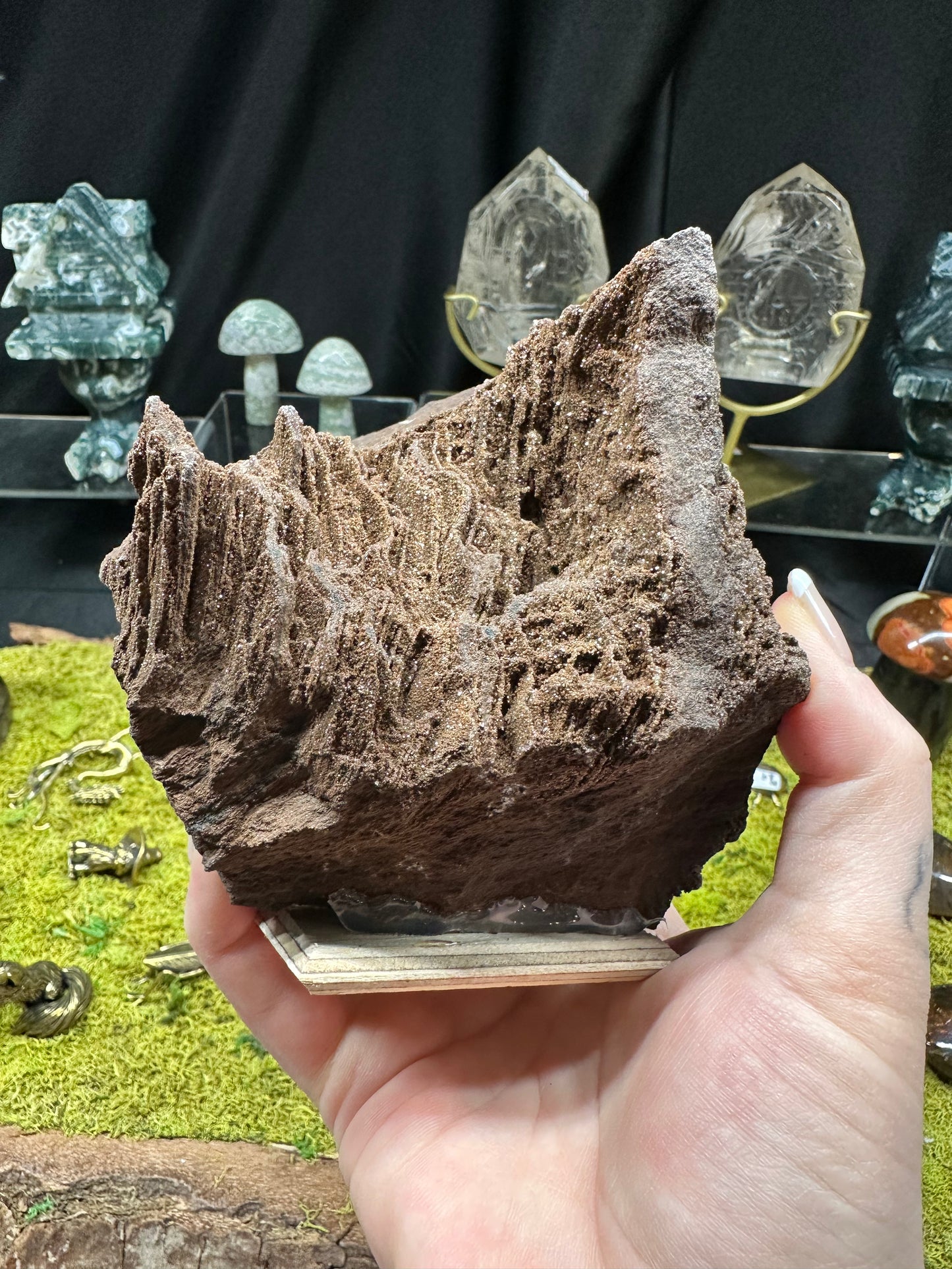 Permineralized Wood | Germany