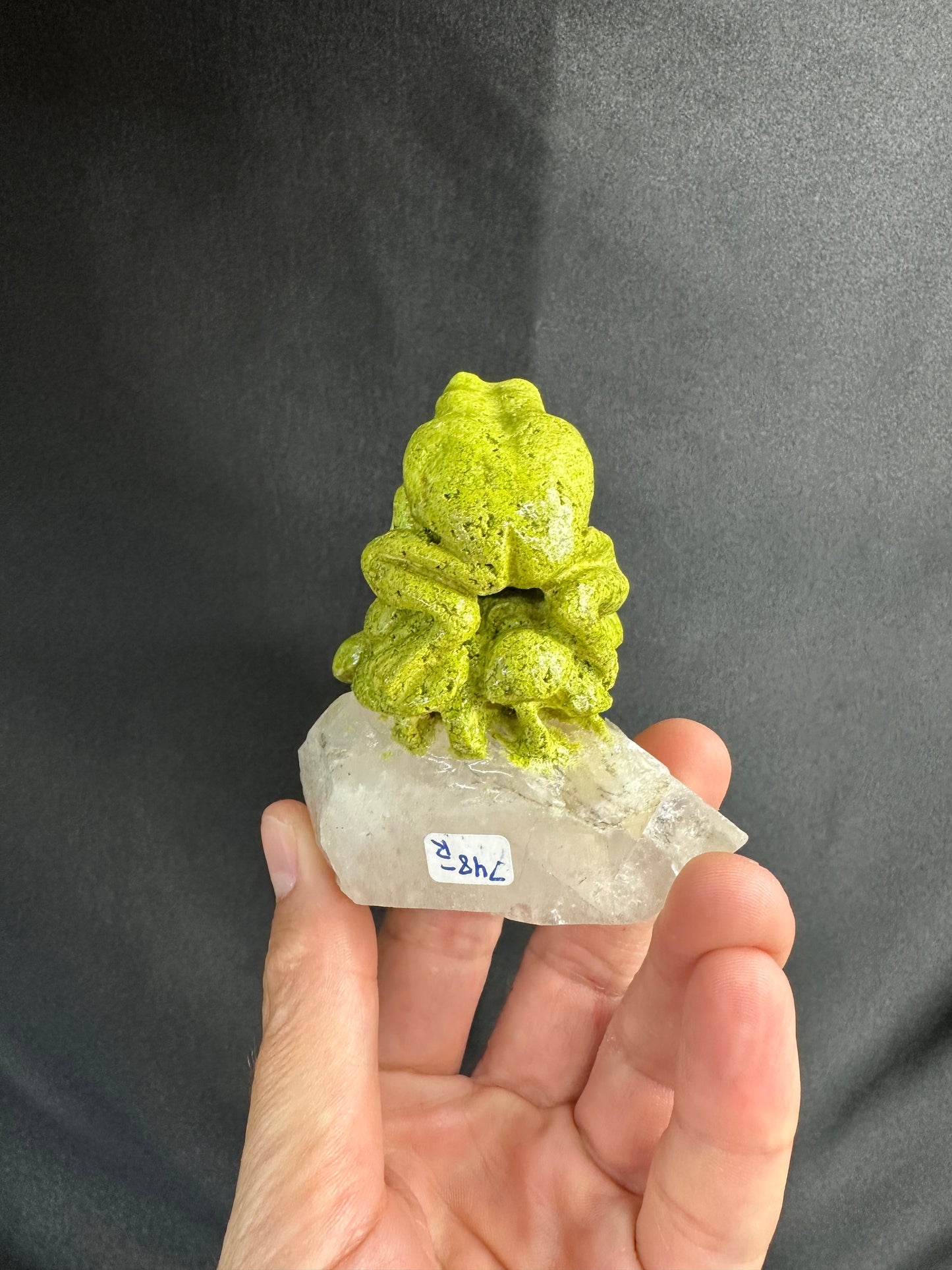 Nontronite Frog on Quartz | France