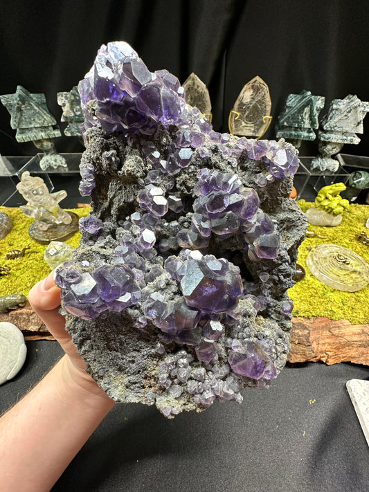 Tanzanite Fluorite | Xia Yang Mine, Fujian, China
