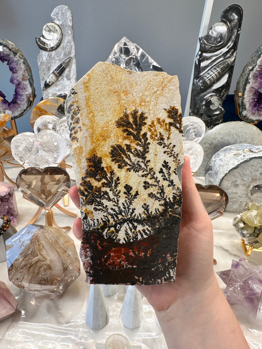 Dendritic Limestone