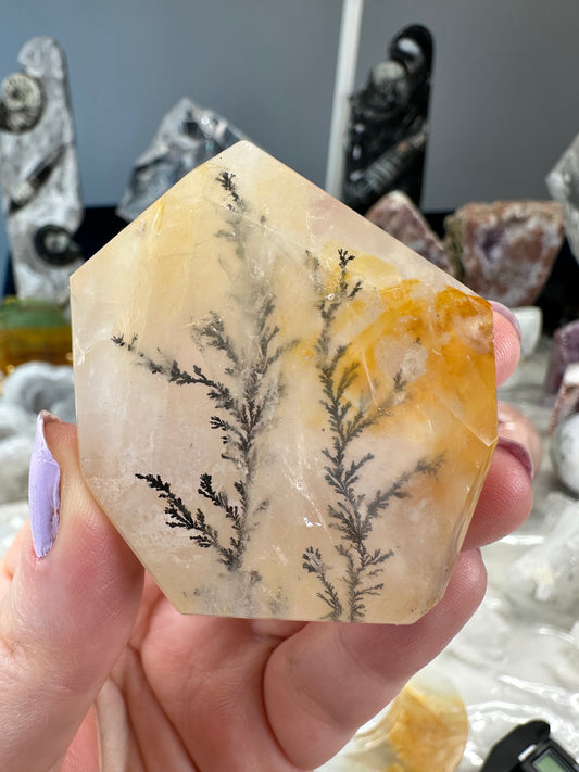Dendritic Golden Healer Freeform