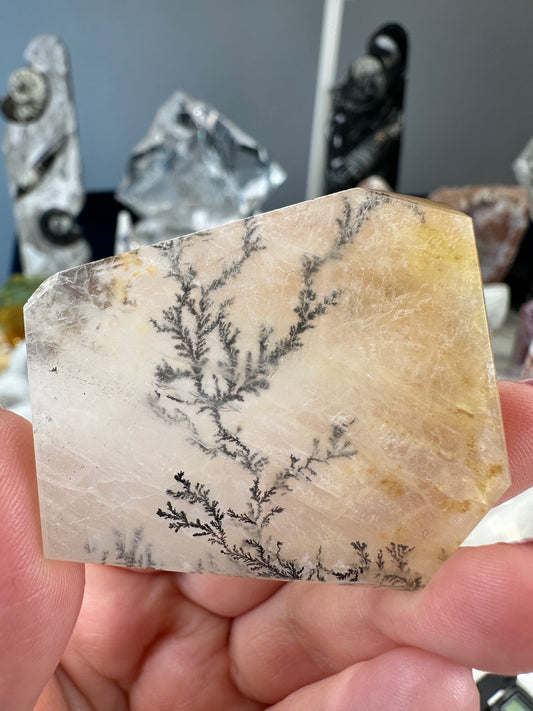 Dendritic Golden Healer Freeform