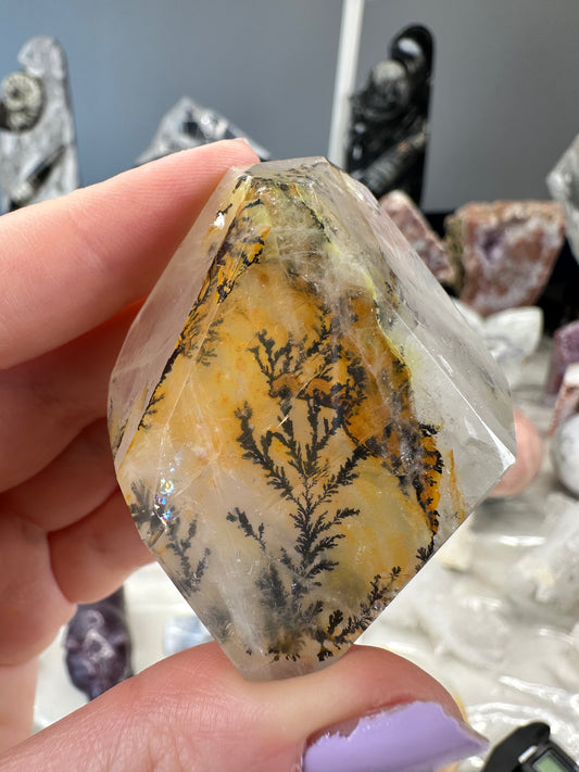Dendritic Golden Healer Freeform