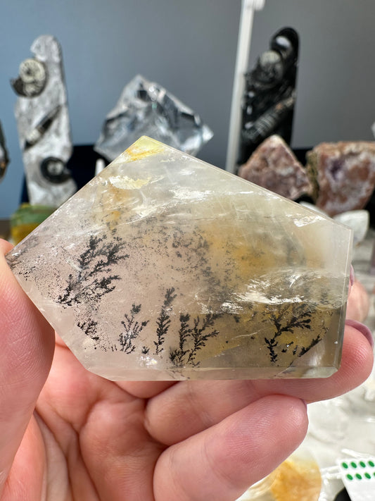 Dendritic Golden Healer Freeform B