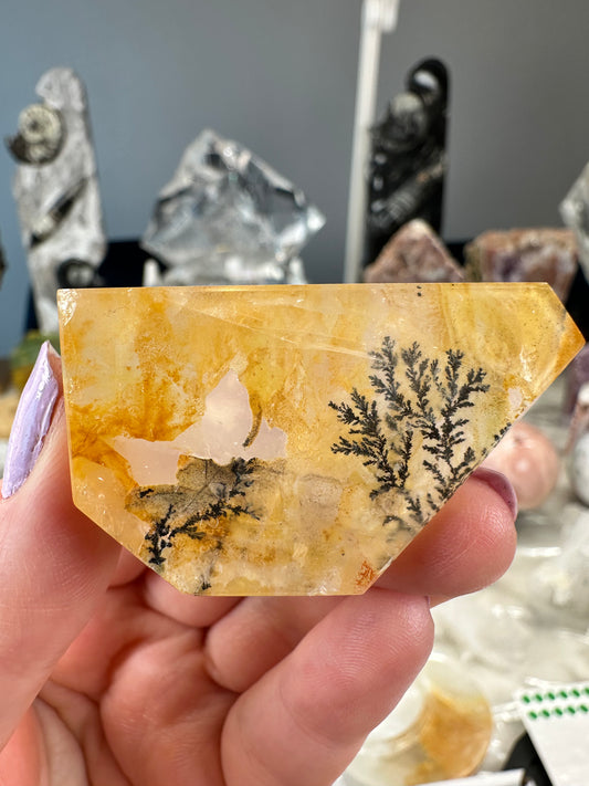Dendritic Golden Healer Freeform A