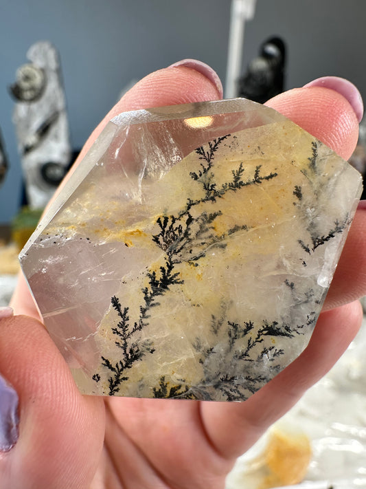Dendritic Golden Healer Freeform A