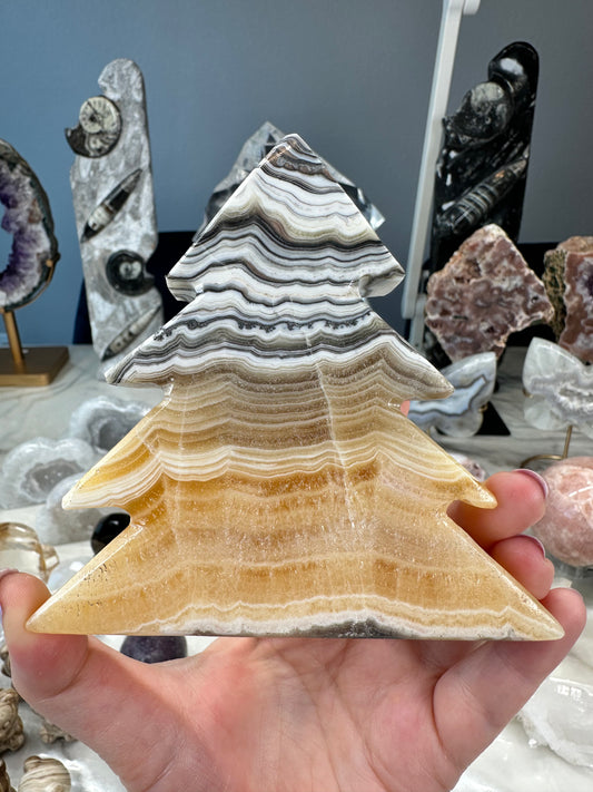 Banded Calcite Tree