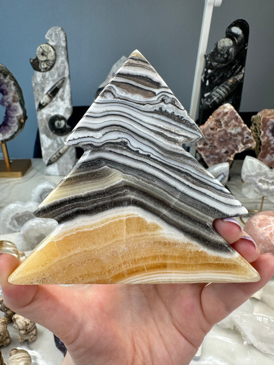 Banded Calcite Tree
