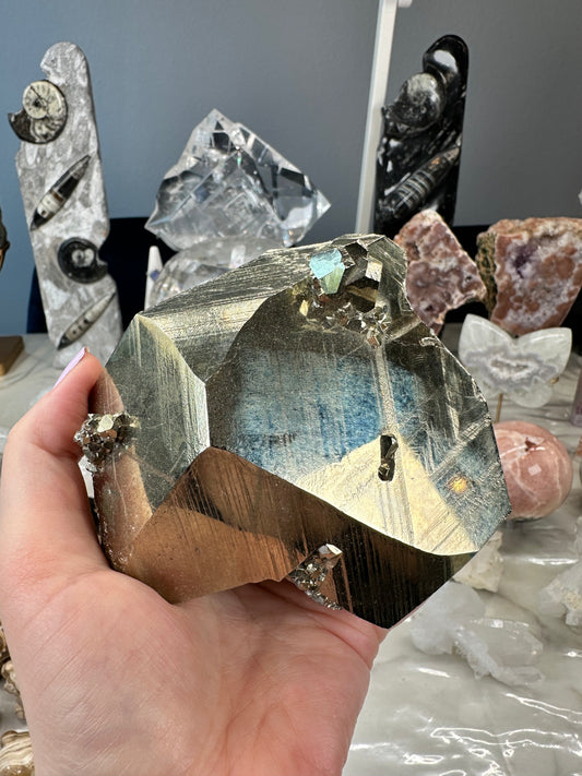 Exceptional Collector Pyrite